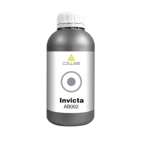 Invicta AB002 - 1kg Gris