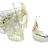 Vitra DS2000 - 1kg Transparent – Image 3