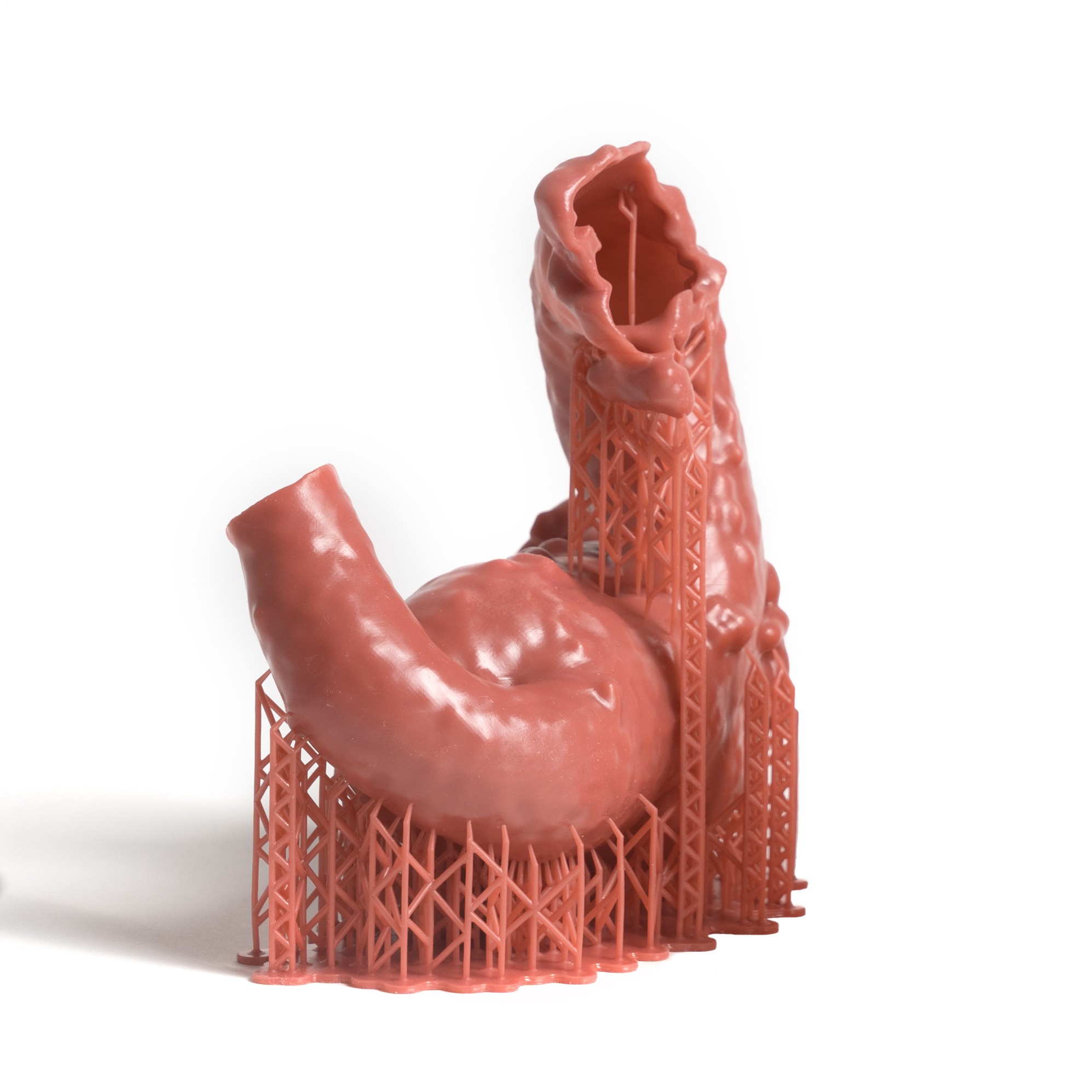 Prusament Resin Flex Anatomic Red - vue 4