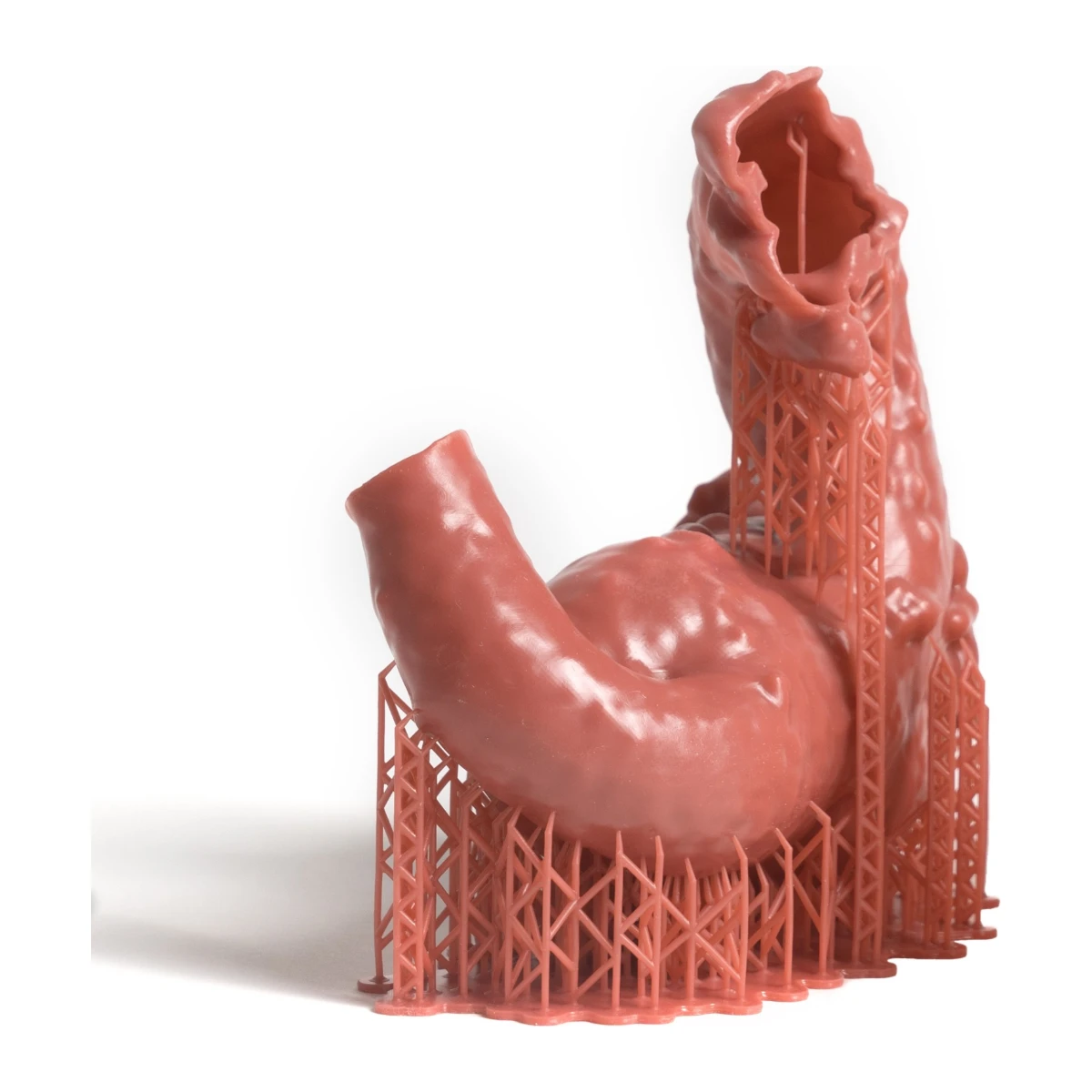 Prusament Resin Flex Anatomic Red 1kg – vue 4